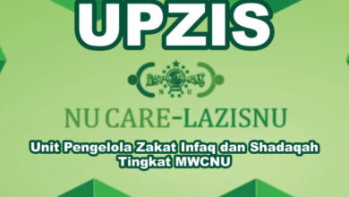 upzis e1630385489946