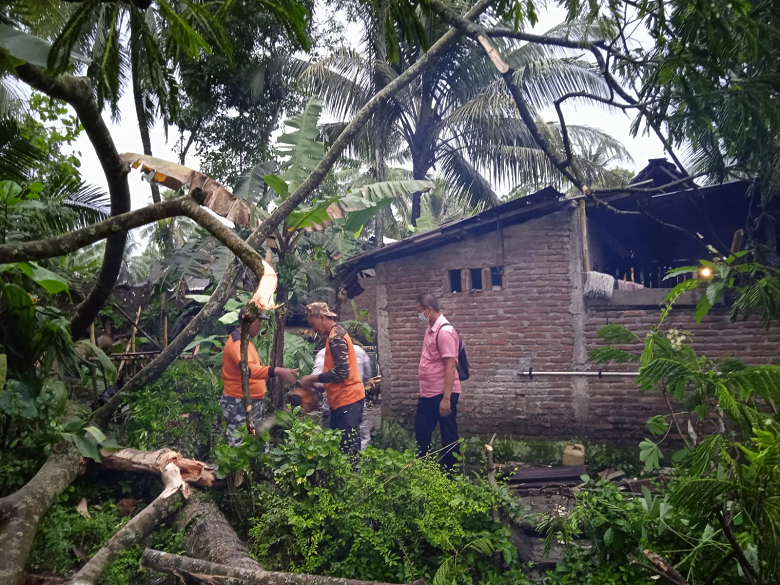 Bagana Kawunganten evakuasi pohon tunbang