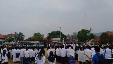 hari santri wanareja1