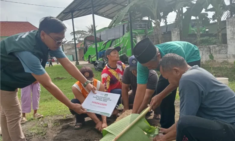 Wakil Ketua PCNU Cilacap KH Mahfudz Fauzi tengah menyembelih Hewan Dam Haji (28/05/2026)