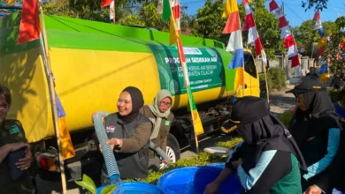 lazisnu dan peran strategisnya